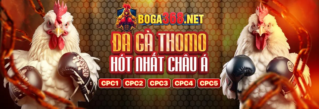 Tin tức sao789 app mới nhất
