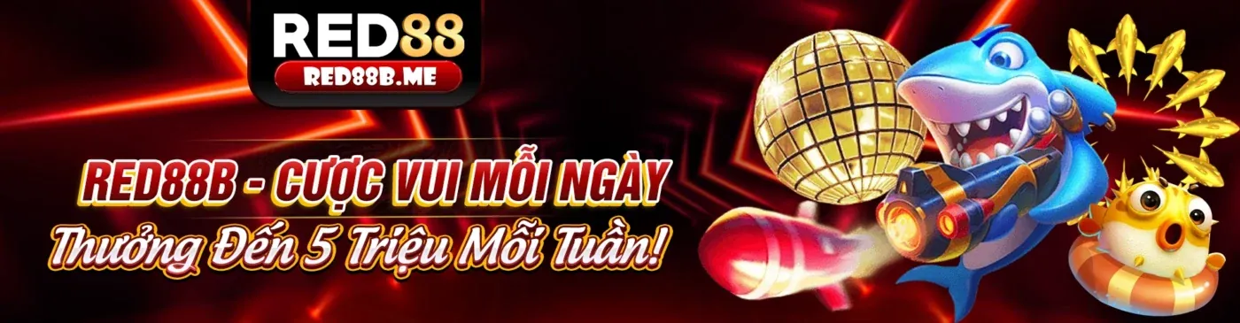 Hình ảnh chính blog sao789 app 2026